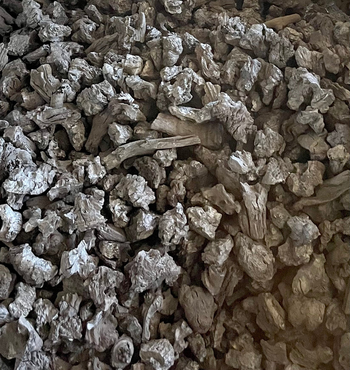 Wattle Roots Premium Mallee Root Charcoal | Wattle & Flame | Classic 35-70MM LUMP