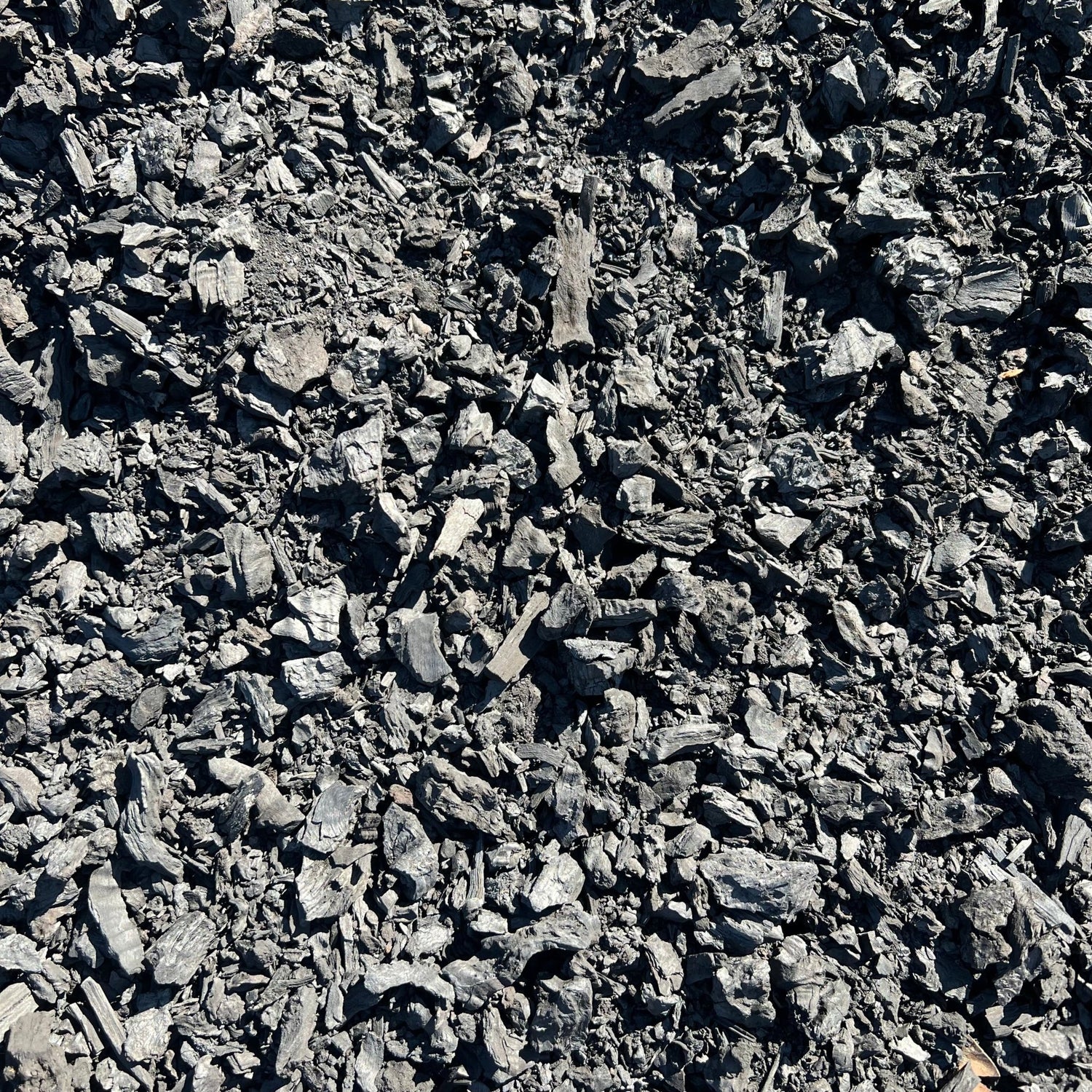 Horticultural Charcoal - Wattle & Flame